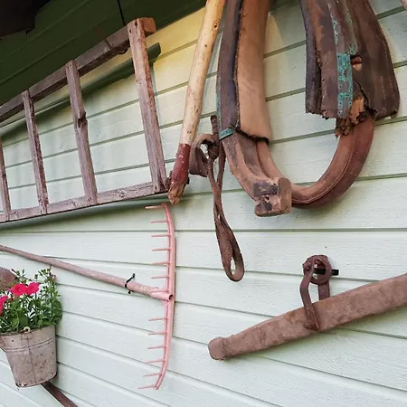 Apartment Aare Kodumajutus Tammiku (Ida-Virumaa)