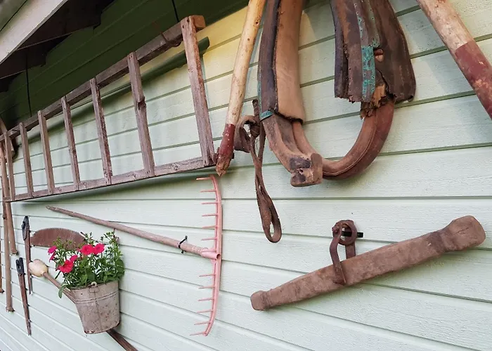 شقة Aare Kodumajutus Tammiku (Ida-Virumaa)